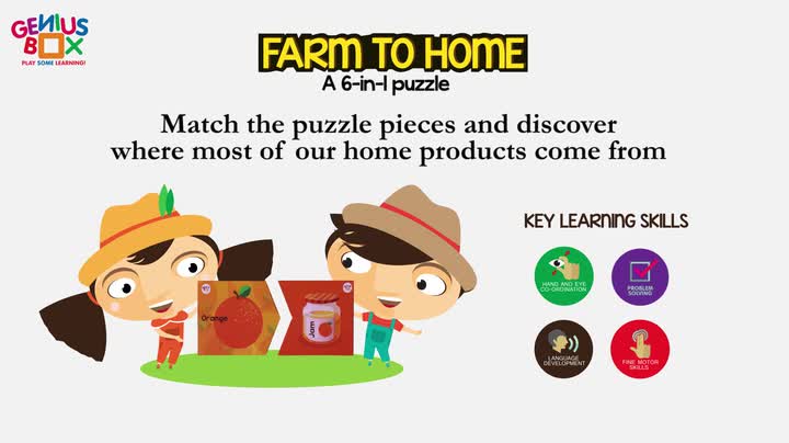 Genius Box Educational Toy Farm Fun DIY Activity Kit