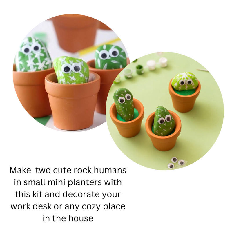 Cactus Rock Planter Painting Set