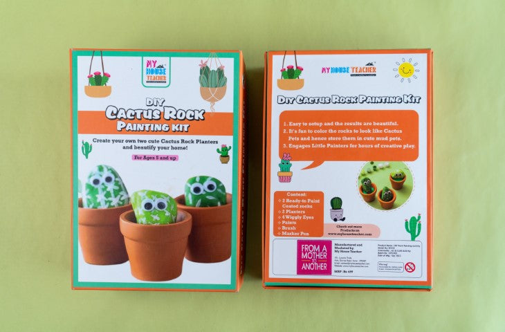 Cactus Rock Planter Painting Set