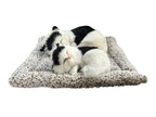Mini Sleeping Cat with Kitten Toy, Decor for Car Dashboard Office Desk Hand Toy Gift for Kids(Black& White)