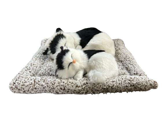 Mini Sleeping Cat with Kitten Toy, Decor for Car Dashboard Office Desk Hand Toy Gift for Kids(Black& White)