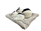 Mini Sleeping Cat with Kitten Toy, Decor for Car Dashboard Office Desk Hand Toy Gift for Kids(Black& White)