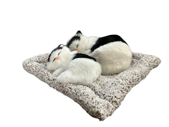 Mini Sleeping Cat with Kitten Toy, Decor for Car Dashboard Office Desk Hand Toy Gift for Kids(Black& White)