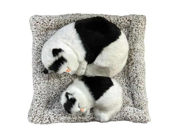 Mini Sleeping Cat with Kitten Toy, Decor for Car Dashboard Office Desk Hand Toy Gift for Kids(Black& White)