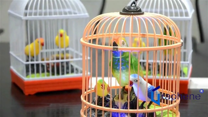 Graphene Realistic Singing & Chirping Bird Toy