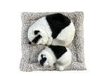 Mini Sleeping Cat with Kitten Toy, Decor for Car Dashboard Office Desk Hand Toy Gift for Kids(Black& White)