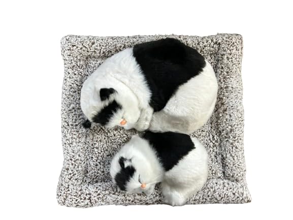 Mini Sleeping Cat with Kitten Toy, Decor for Car Dashboard Office Desk Hand Toy Gift for Kids(Black& White)