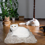 Plush Cat Toy with Meow Sound, White and Brown Persian Cat, Soft Stuffed Animal with Pillow