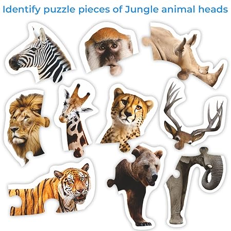 TOYKRAFTT Puzzles for Kids