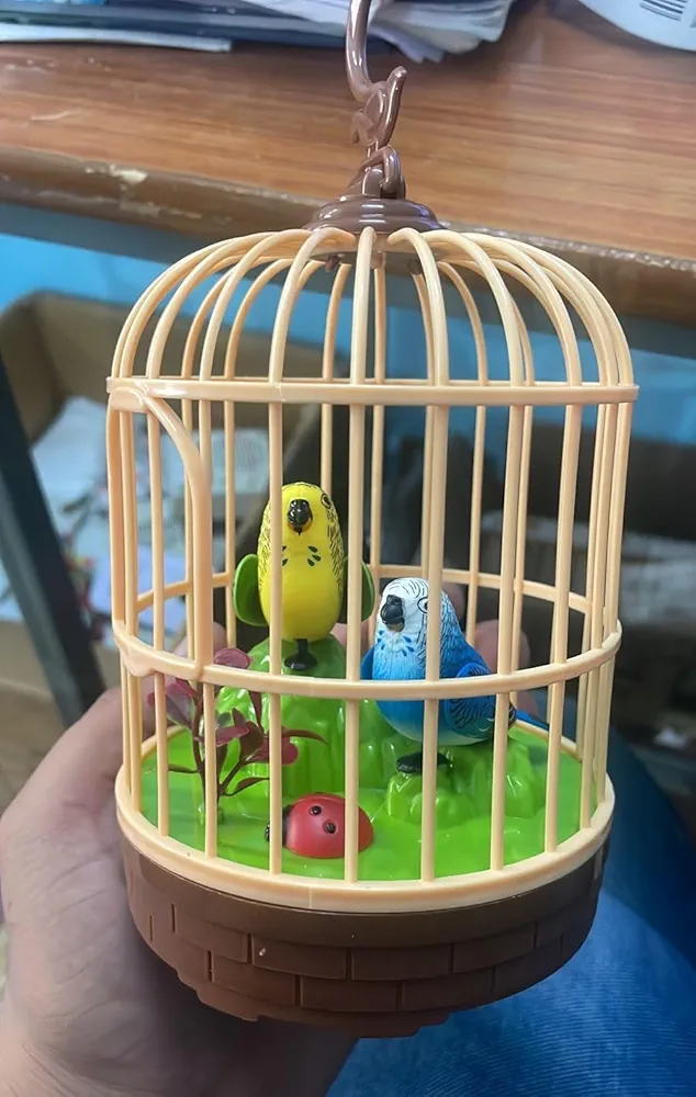 Graphene Realistic Singing & Chirping Bird Toy