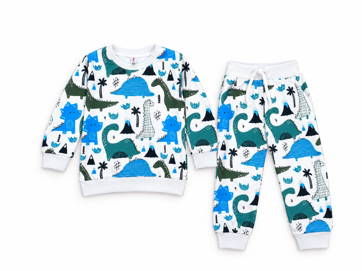 Toddler Dinosaur Print Sweatshirt & Pants Set