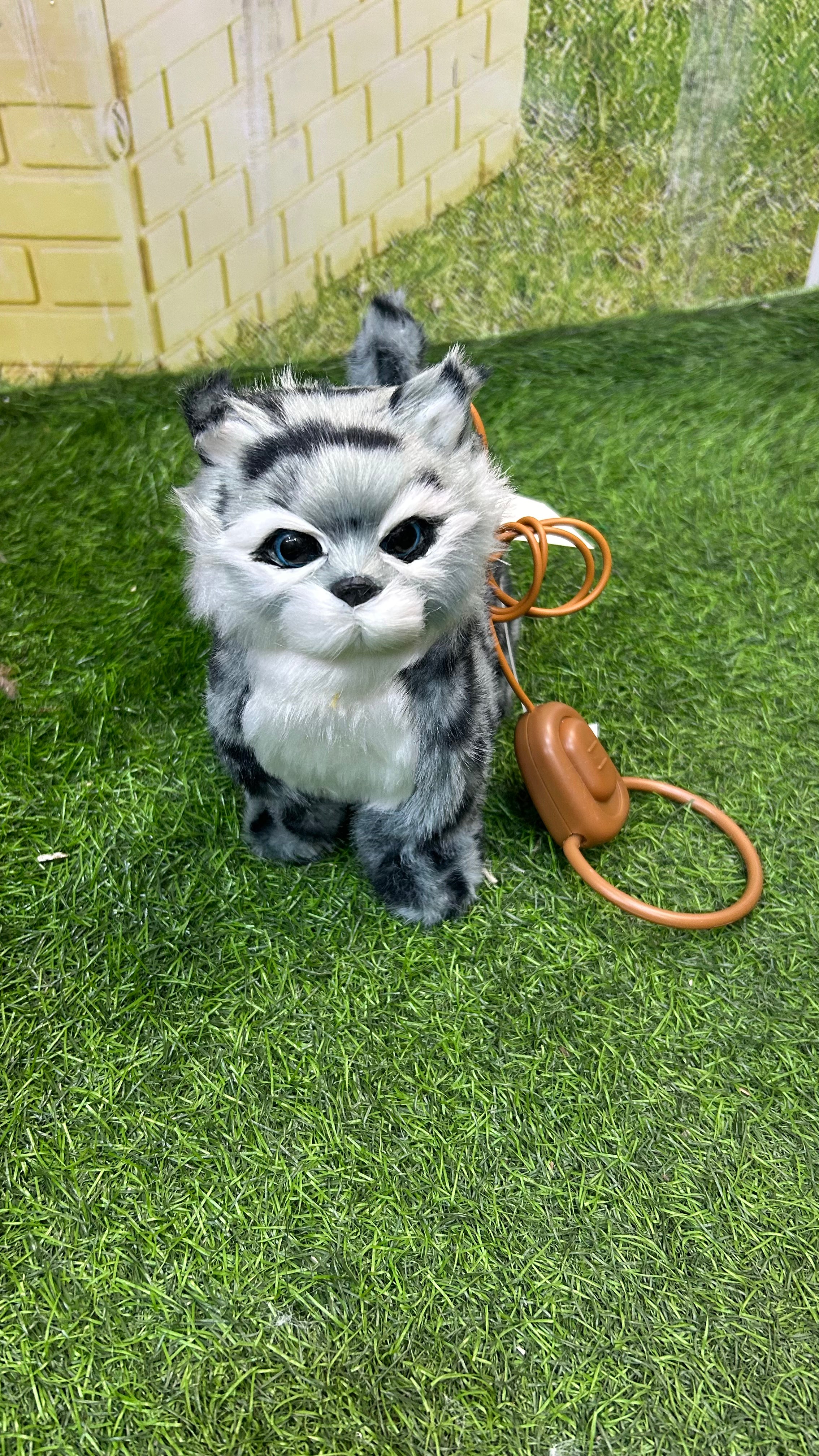 Interactive Soft Plush Musical Cat with Realistic Meow Sound