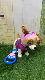 Musical PAW Patrol