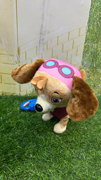Musical PAW Patrol