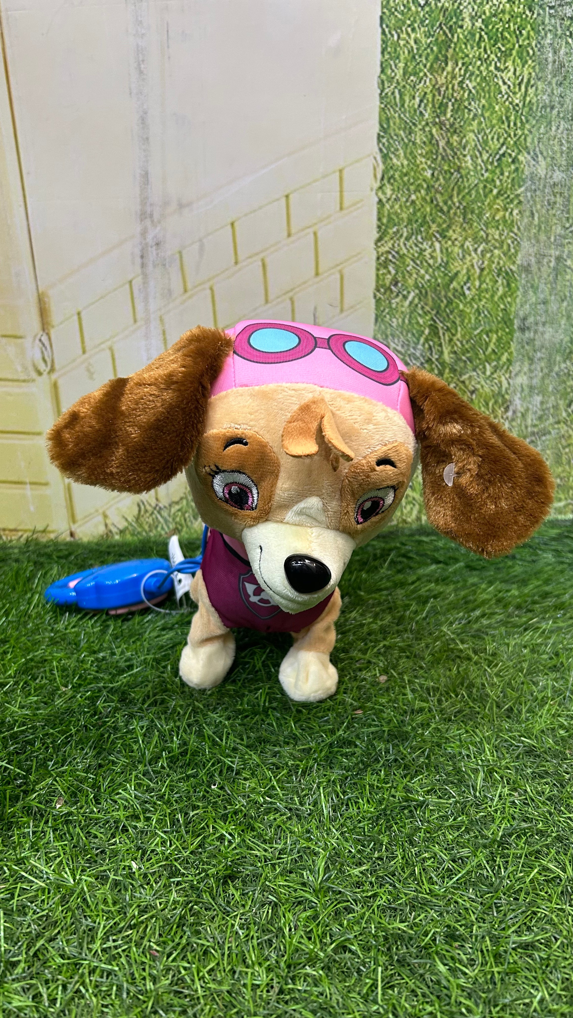 Musical PAW Patrol
