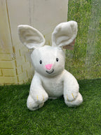 Musical Dancing and Singing Plush Rabbit Soft Toy