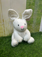 Musical Dancing and Singing Plush Rabbit Soft Toy
