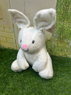 Musical Dancing and Singing Plush Rabbit Soft Toy