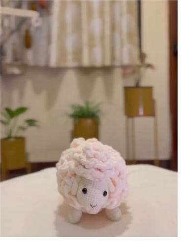 Crochet Handmade Ship for Collectors And Home Decor Made By Vietnam