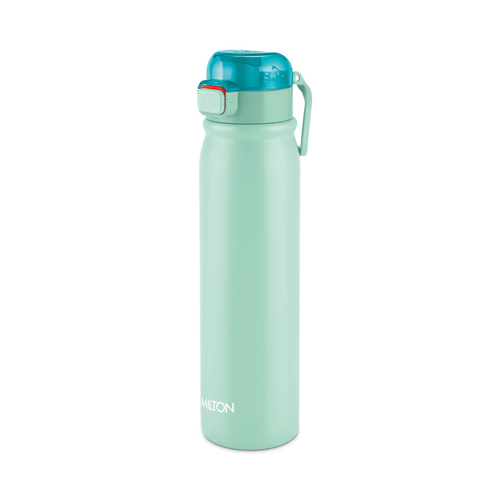 Reva Stainless Steel Bottle (Milton)
