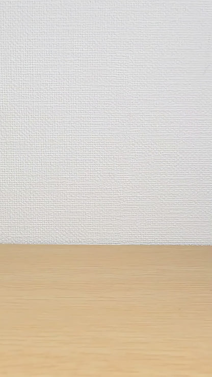 Tomica Premium Racing LEON Cvstos AMG '25 Scale 1:64