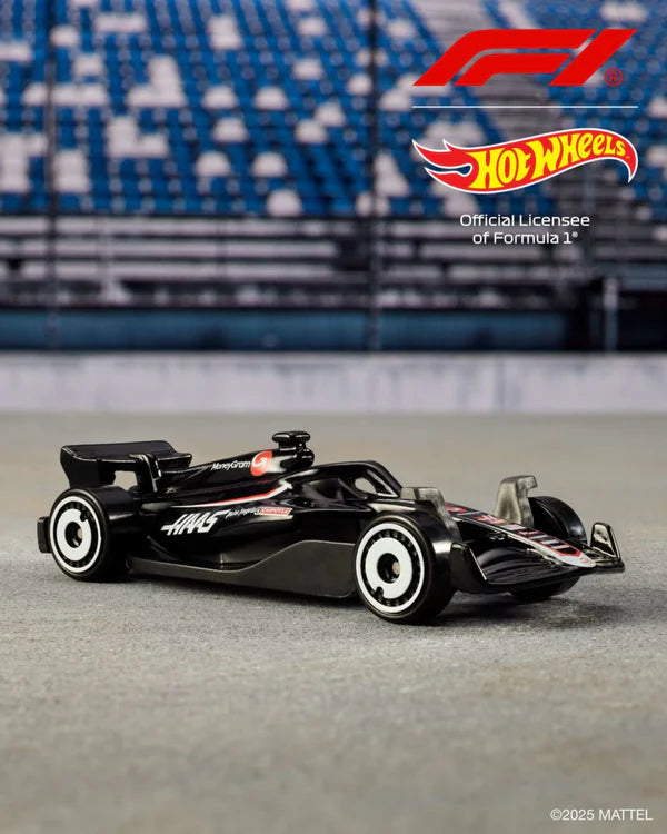 Cocoland Toyz Hot Wheels Formula 1 race car with black and white livery side view