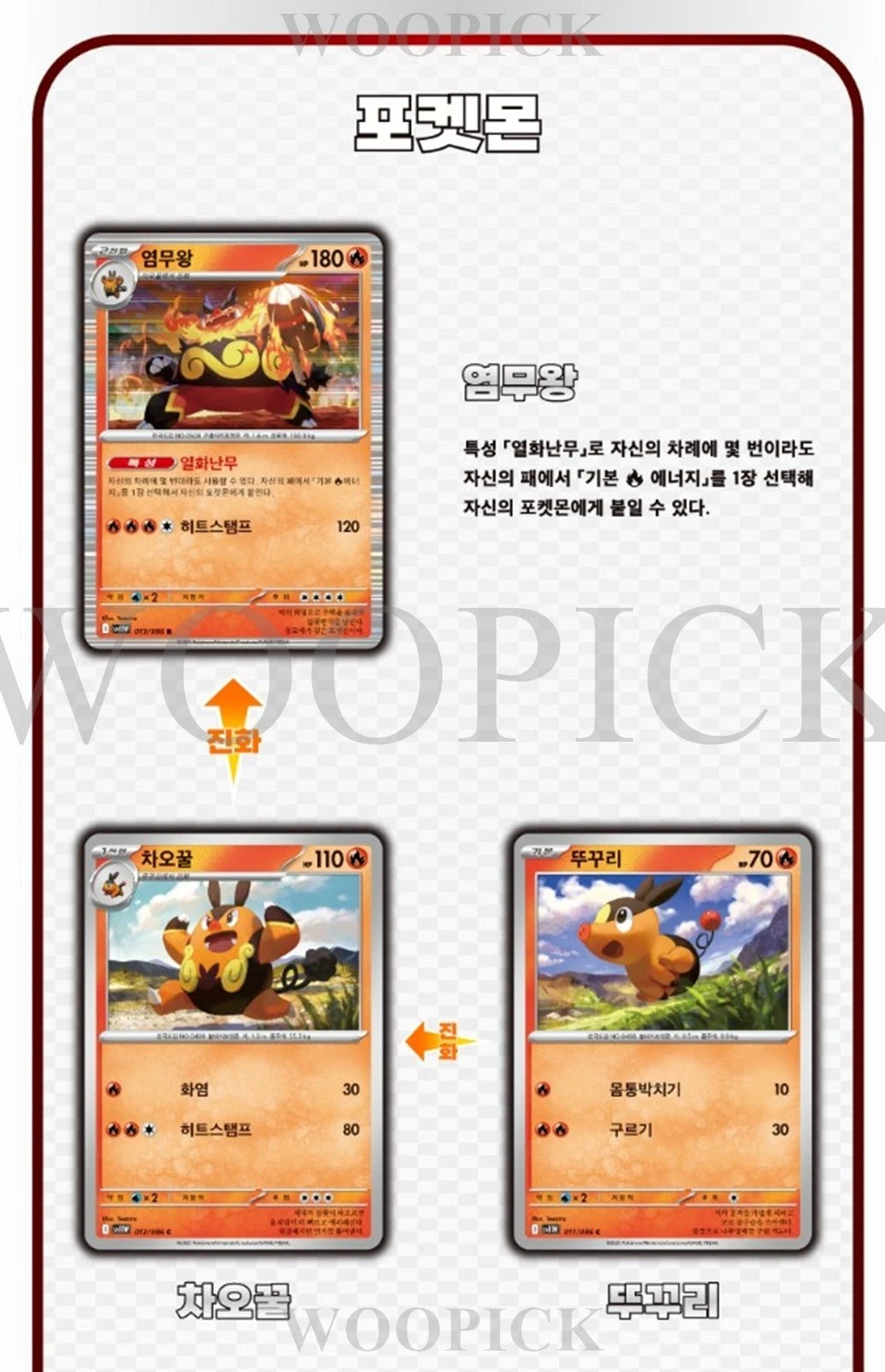 Cocoland Three Pokémon trading cards displayed on a white background with red borders.